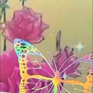 Meet your Posher, Destiny